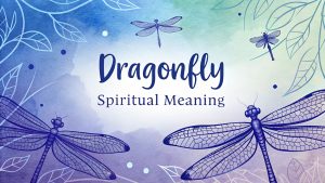 Dragonfly Spiritual Meaningqd Dragonfly Spiritual Meaning: Ignite Your Inner Metamorphosis and Celestial Harmony in 2025