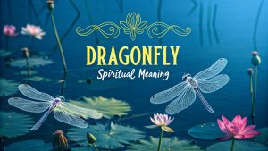 Dragonfly Spiritual Meaningw Dragonfly Spiritual Meaning: Ignite Your Inner Metamorphosis and Celestial Harmony in 2025