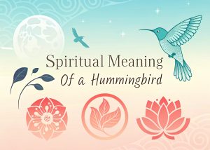 Spiritual Meaning of a Hummingbird: Embrace Joyful Messengers for Vibrant Living 3 Spiritual Meaning of a Hummingbird