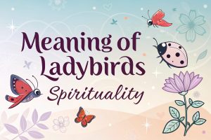 Meaning of Ladybirds Spirituality: Embracing Joyful Omens and Transformative Luck in 2025 3 Meaning of Ladybirds Spirituality