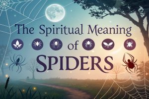 The Spiritual Meaning of Spiders: Unveiling Ancient Wisdom and Modern Insights for Transformation 4 The Spiritual Meaning of Spiders