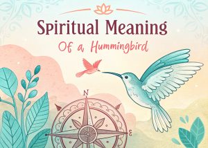 Spiritual Meaning of a Hummingbird: Embrace Joyful Messengers for Vibrant Living 2 Spiritual Meaning of a Hummingbird