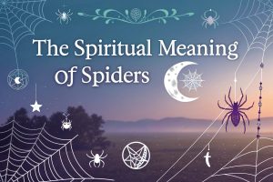 The Spiritual Meaning of Spiders: Unveiling Ancient Wisdom and Modern Insights for Transformation 3 The Spiritual Meaning of Spiders