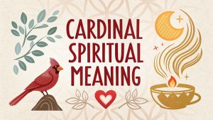 Cardinal Spiritual Meaning: Illuminate Your Path with the Vibrant Wisdom of Nature's Bold Messenger in 2025 3 Cardinal Spiritual Meaning