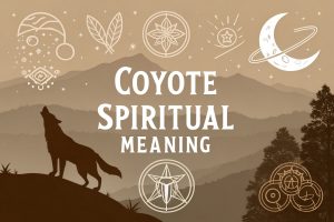 Coyote Spiritual Meaning