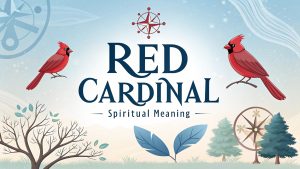 Red Cardinal Spiritual Meaning