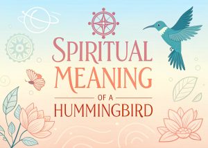 Spiritual Meaning of a Hummingbird: Embrace Joyful Messengers for Vibrant Living 4 Spiritual Meaning of a Hummingbird