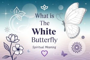 What Is the White Butterfly Spiritual Meaning
