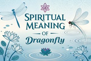 Spiritual Meaning of Dragonfly
