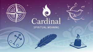 Cardinal Spiritual Meaning: Illuminate Your Path with the Vibrant Wisdom of Nature's Bold Messenger in 2025 4 Cardinal Spiritual Meaning
