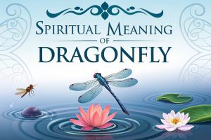 Spiritual Meaning of Dragonfly