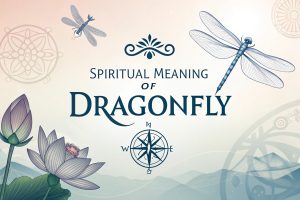 Spiritual Meaning of Dragonfly