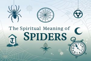 The Spiritual Meaning of Spiders: Unveiling Ancient Wisdom and Modern Insights for Transformation 2 The Spiritual Meaning of Spiders