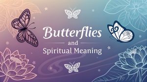Butterflies and Spiritual Meaning
