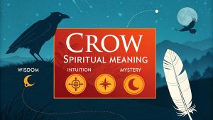 Crow Spiritual Meaning