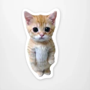 Funny Sticker Memes Funny Sticker Memes: Exploding with Laughter and Viral Shenanigans in 2025