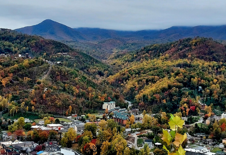 How Gatlinburg’s Appalachian Roots Shape the Modern Traveler Experience 1 Screenshot 115 How Gatlinburg’s Appalachian Roots Shape the Modern Traveler Experience