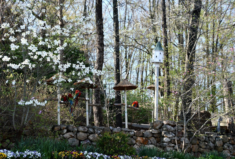 Why Pigeon Forge Is a Comfort Destination for Many Generations of Families 1 Screenshot 116 Why Pigeon Forge Is a Comfort Destination for Many Generations of Families