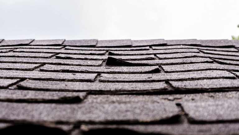 OCR Do I Need a New Roof Curled Signs Your Roof Is Nearing the End of Its Life and What to Do Next