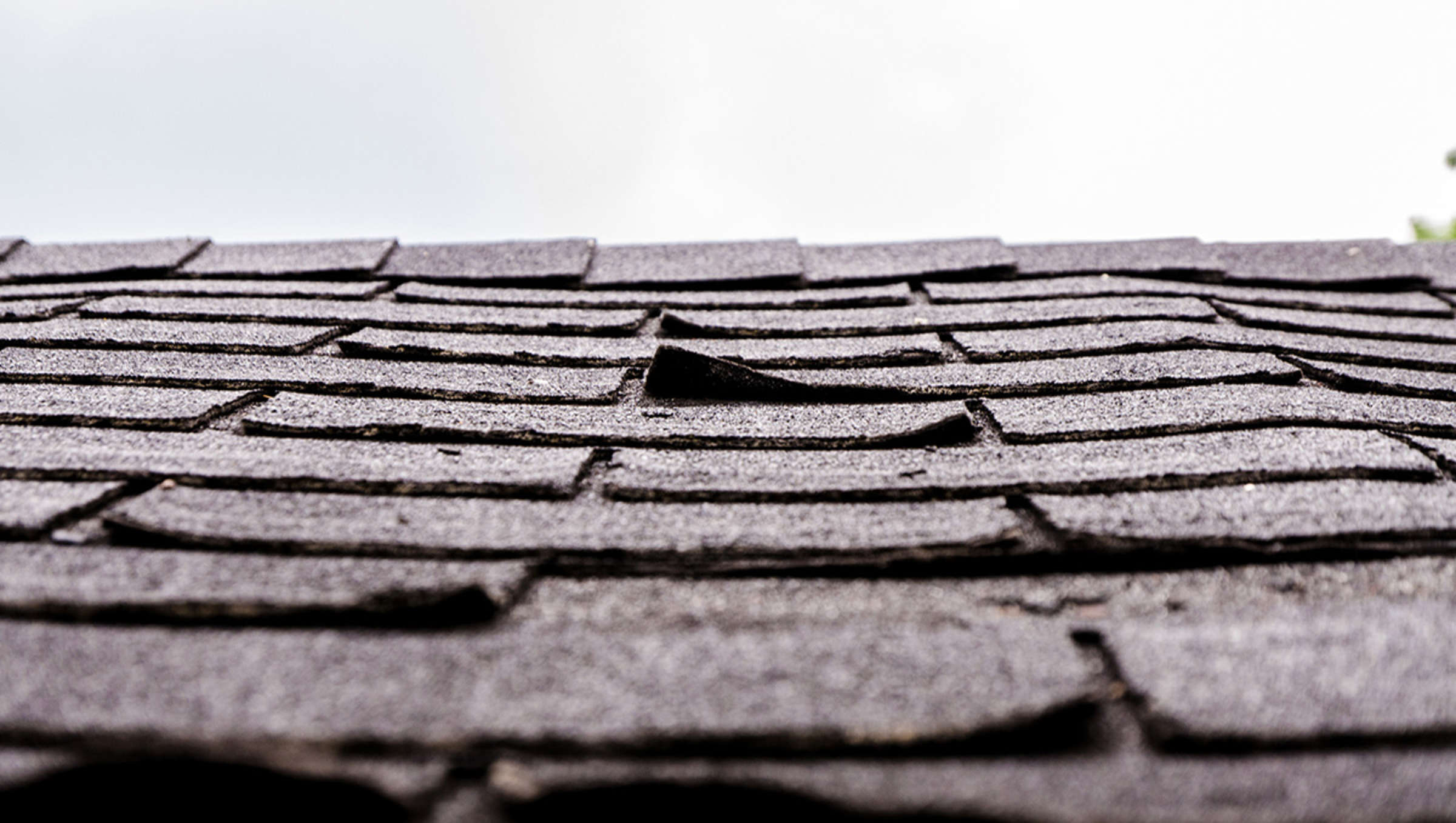 OCR Do I Need a New Roof Curled Signs Your Roof Is Nearing the End of Its Life and What to Do Next