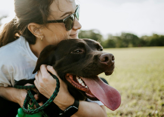Screenshot 2026 03 17T191657.174 Emotional Support Animals: Everything You Should Know Before Getting One