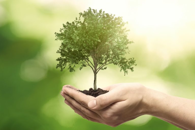 Maximizing ROI in Tree Service Advertising: Proven Strategies for Success 4 6903667f13da1f1ac6c34eec tree service marketing Maximizing ROI in Tree Service Advertising: Proven Strategies for Success