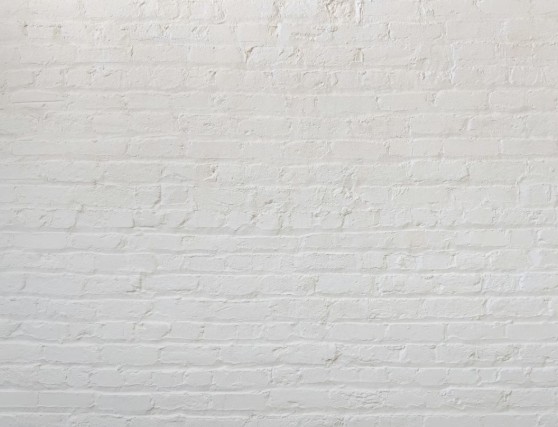 The Essential Comparison of Limewash and Whitewash for Long-Lasting Walls 6 Screenshot 429 The Essential Comparison of Limewash and Whitewash for Long-Lasting Walls