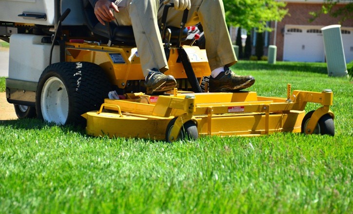 Screenshot 924 Common Lawn Problems and the Best Ways to Prevent Them