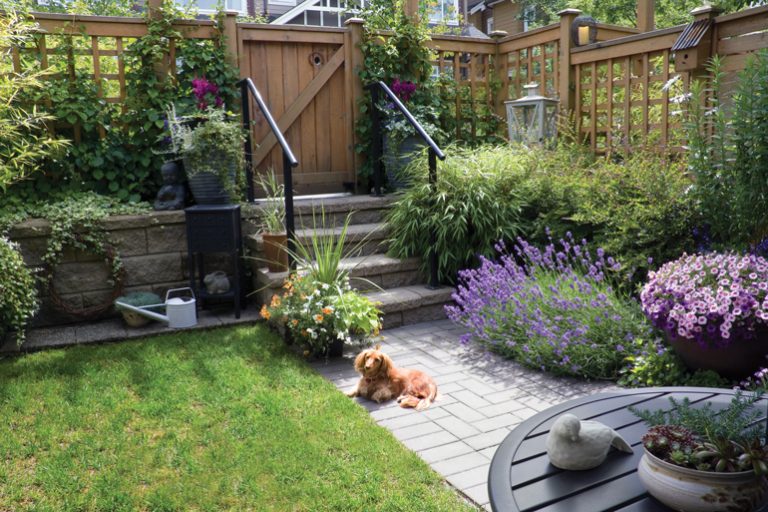 petscape How to Design a Pet-Safe Garden Oasis