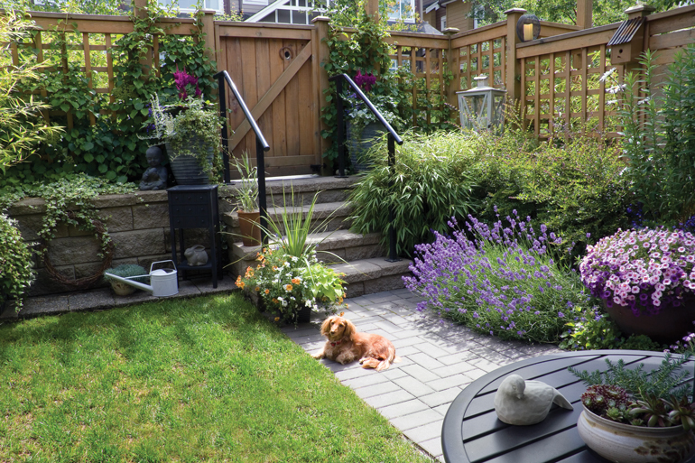 petscape How to Design a Pet-Safe Garden Oasis