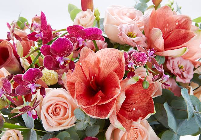 images 2026 09 01T142312.565 Complete Guide to Mixes Bouquets for Every Special Celebration