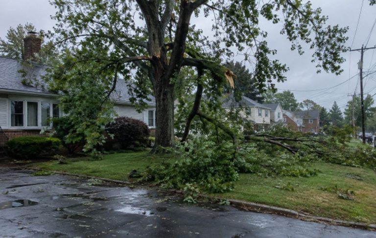 Screenshot 128 Storm-Damaged Tree Removal in Union, NJ: Safety Steps for Homeowners