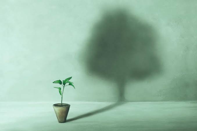 images 2026 10 26T202923.701 The Emotional Side Of Building A Healthier Version Of Yourself