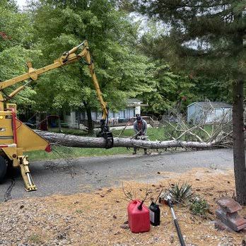 images 2026 10 27T105638.259 7 Best Tree Service Companies In Holland, MI For Safe, Professional Tree Care